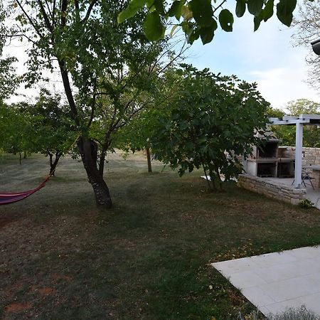 Holiday Home Brhanici Svetvinčenat Buitenkant foto